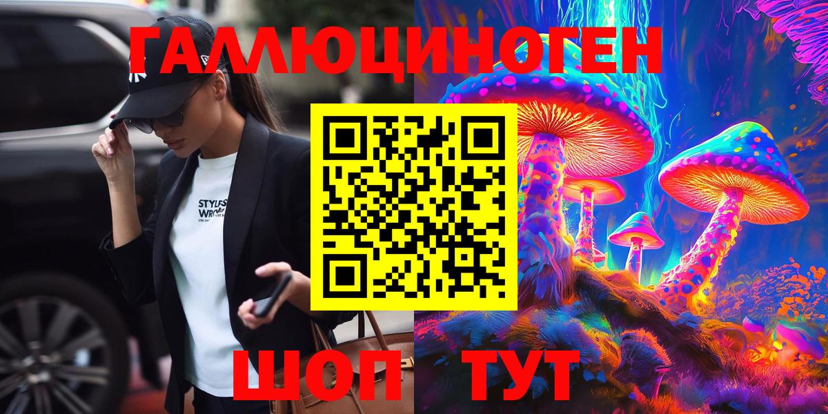 Псилоцибиновые грибы Psilocybe Ефремов
