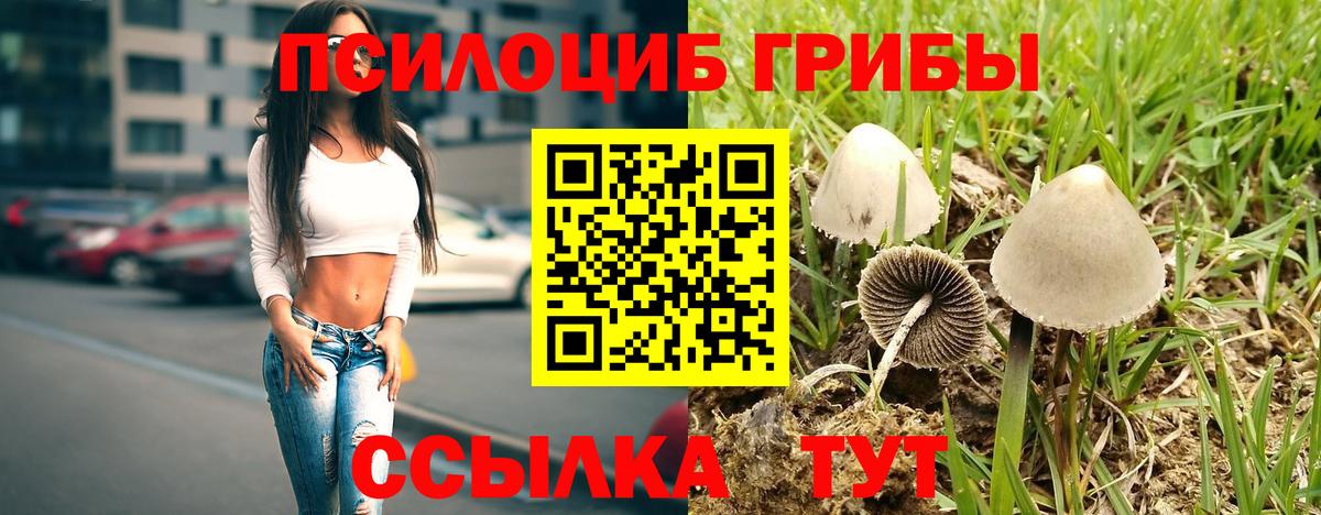 Галлюциногенные грибы мухоморы  Вход с VPN  Псилоцибиновые грибы Psilocybe  Ефремов 